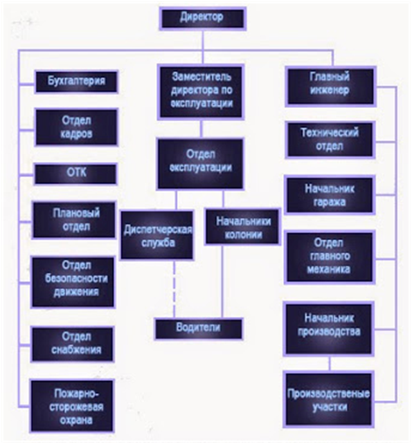 Структура транспортной компании схема