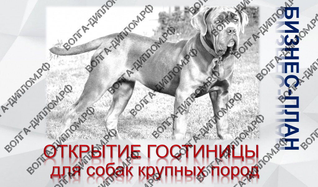 Проектная работа «Предоставление нового бизнеса». Бизнес-план открытия гостиницы для собак крупных пород Проектная работа «Предоставление нового бизнеса». Бизнес-план открытия гостиницы для собак крупных пород