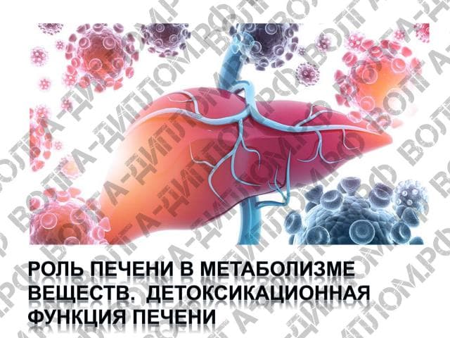 Роль печени в метаболизме веществ. Детоксикационная функция печени Роль печени в метаболизме веществ. Детоксикационная функция печени