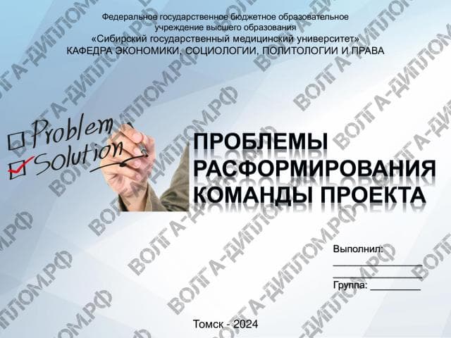 Проблемы расформирования команды проекта Проблемы расформирования команды проекта