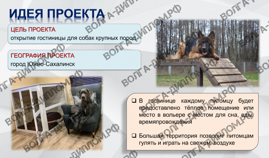 Проектная работа «Предоставление нового бизнеса». Бизнес-план открытия гостиницы для собак крупных пород Проектная работа «Предоставление нового бизнеса». Бизнес-план открытия гостиницы для собак крупных пород